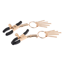 Load image into Gallery viewer, Sportsheets - Sex & Mischief Verge Nipple Clamps