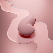 Load image into Gallery viewer, Biird Namii Rechargeable Dual "Sucker" & Vibrator