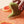 Photo of the boomerang shaped Kiwi pelvic vibrator vibrating in a shallow pool of water with slices of grapefruit around it
