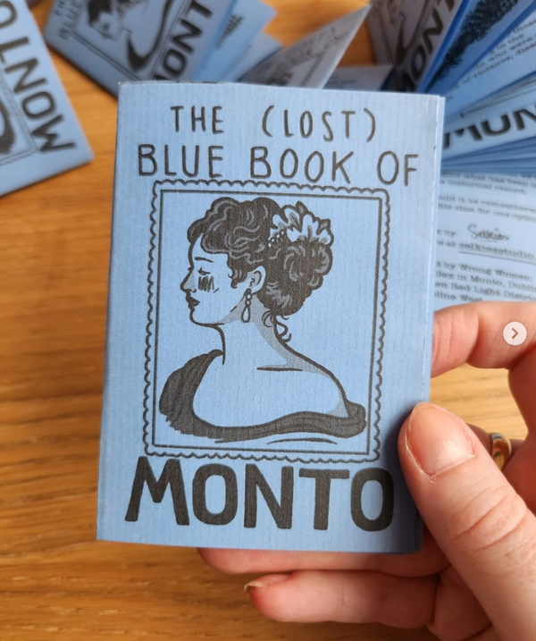 Hand holding a blue education zine about Monto, by the artist Selkies. Over a brown table background and other zines.