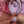 A woman in a pink nightgown holds the SVibe Snail Gizi duo couples' vibrator in one hand and the rechargeable remote control in the other.
